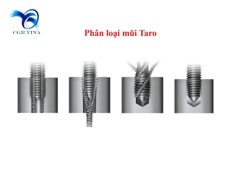 Phân loại mũi taro